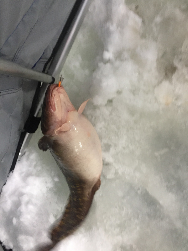 70032E51-64DA-4F36-AB58-69E0C1EAB71A