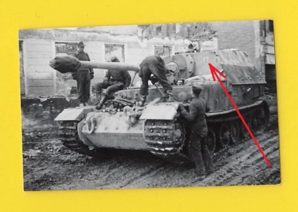 Foto, Jagdpanzer Tiger (P), Panzer, tank, Sd.Kfz. 184, Tarnanstr