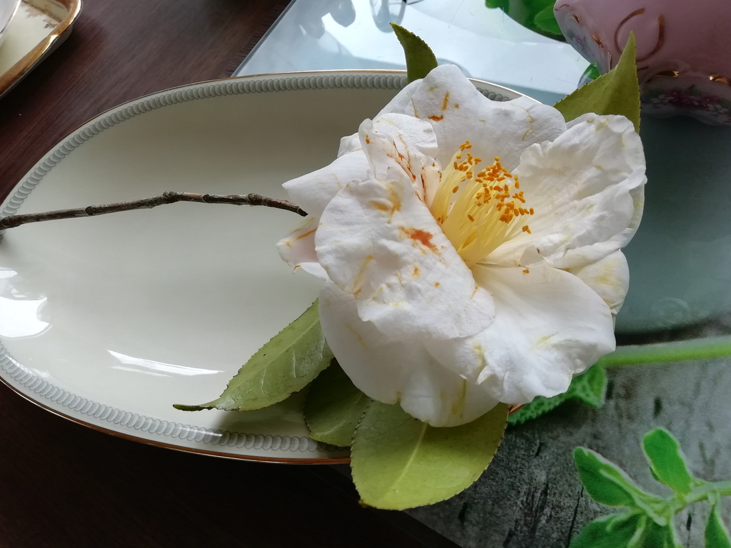 IMG_20190507_150126