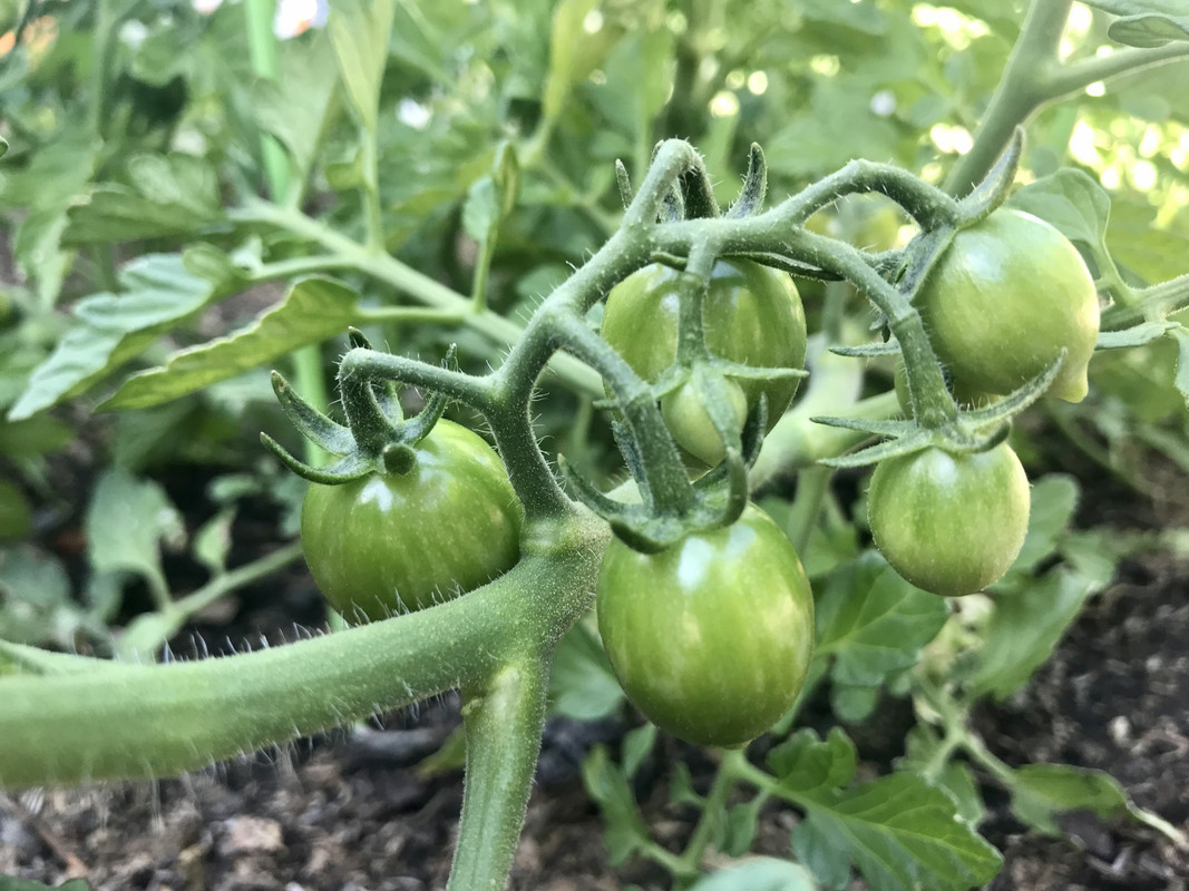 94FF93B1-F408-481D-85F2-DE1510A820FD