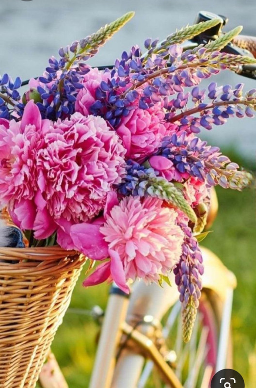 Screenshot_20230623_230328_Pinterest