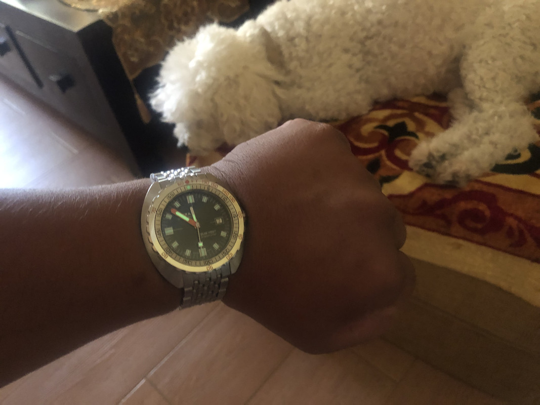 6BC383A3-C57B-49B3-857F-C9CE1A0DD091