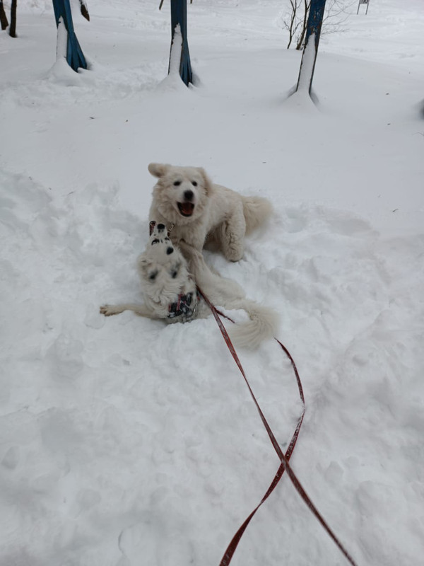 05901E2F-BBA9-4A92-AE20-5182F1D15DA1