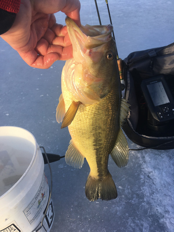 E4E629D5-9390-407A-8AD5-50FE8251016C