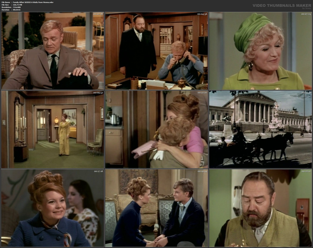 Family Affair S03E03 A Waltz from Vienna.mkv