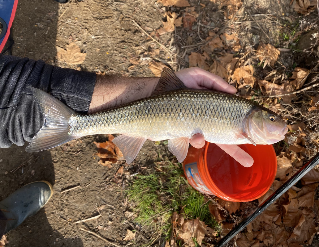 2B3288AC-E215-44DC-8E75-58C942BAA01F