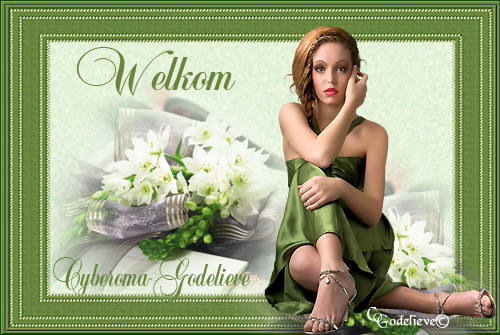 Welkom bij Cyberoma-Godelieve