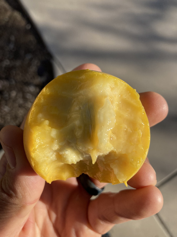 CA537848-9EDF-4D1F-8EBC-3050708C4A02