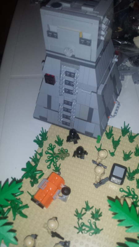 WhatsApp Image 2018-06-30 at 17.48.54 (1)