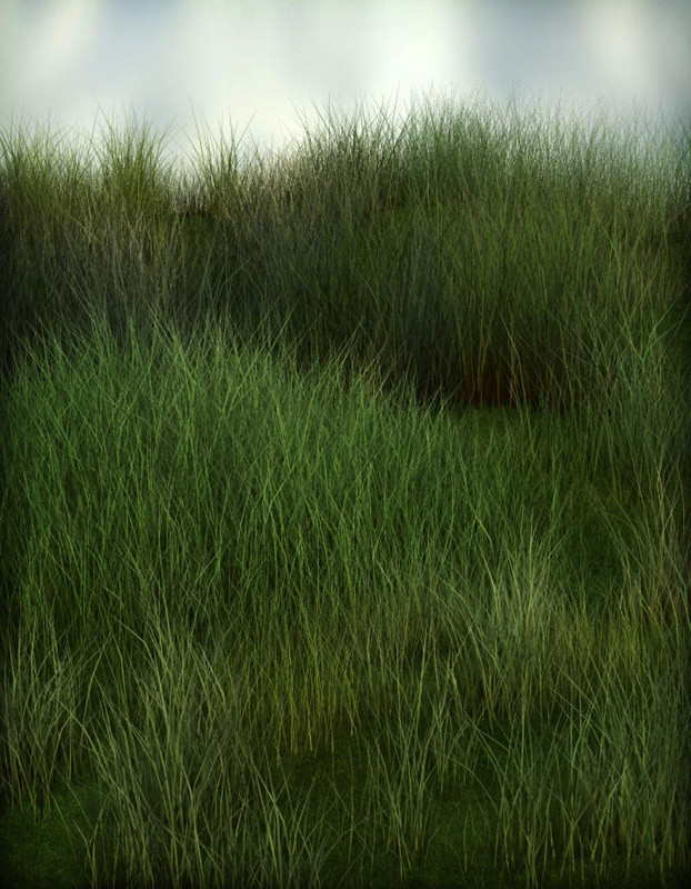 Grassy Grounds Megapack [Iray Update]