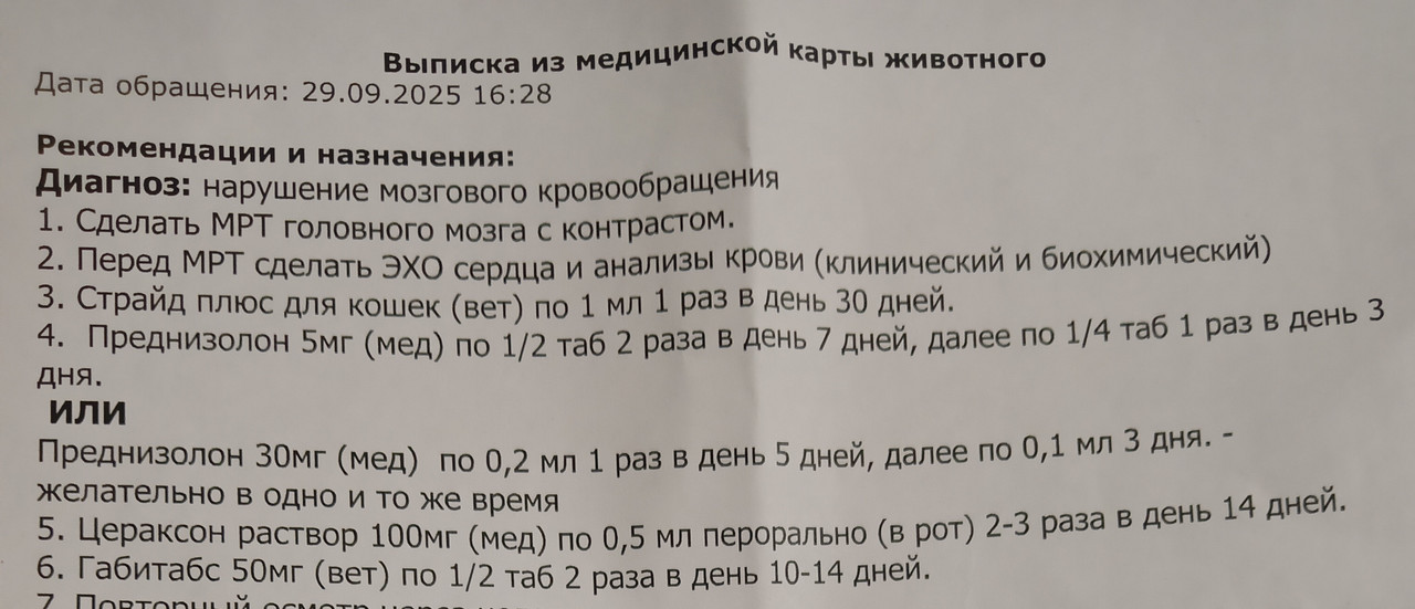 1000115624