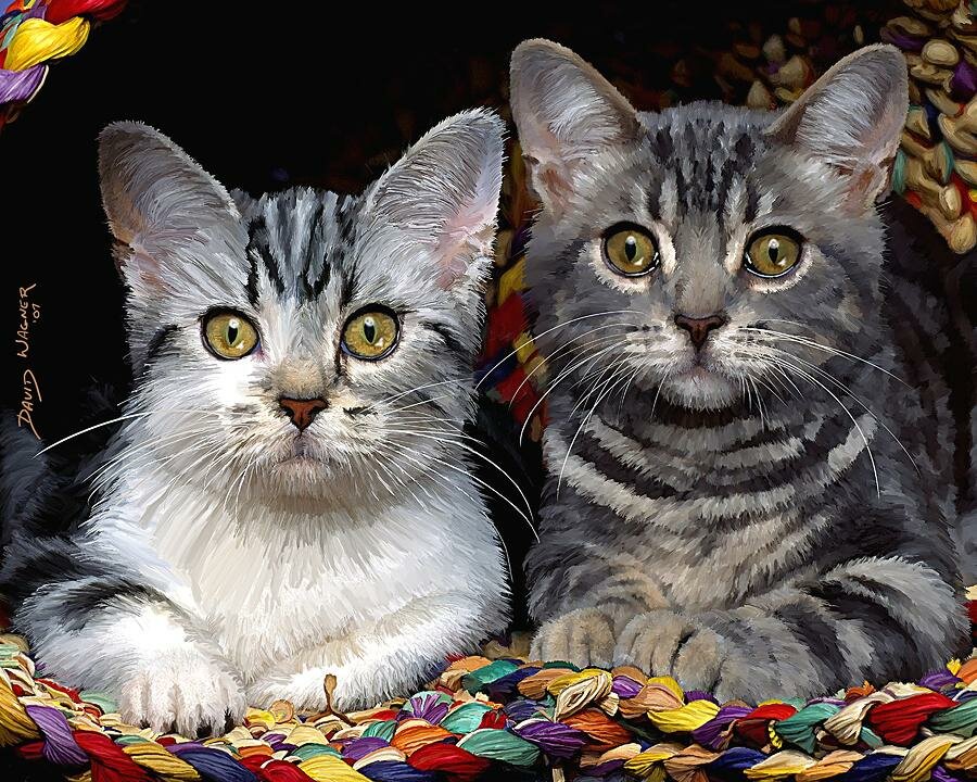 3-curious-kitties-david-wagner