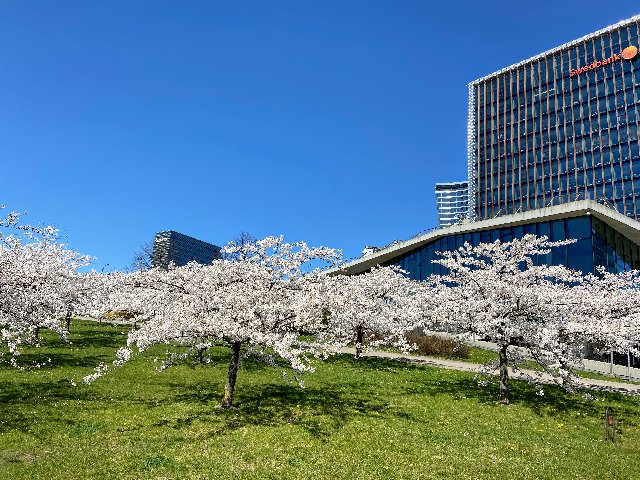 DAE44012-541-E-451-A-99-AE-C95-D2732-DD7