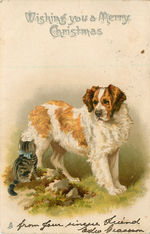 41-2011-12-10-13-39-25