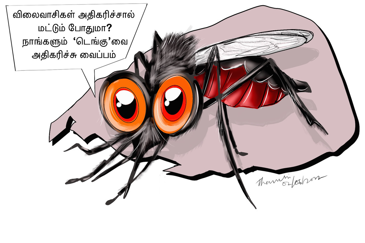 F45923-B8-7061-40-BB-8625-2-E1-E58-B5-D8