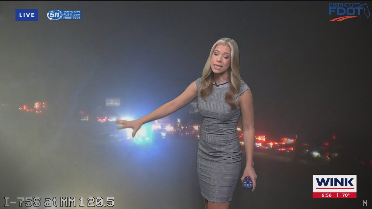 WINK News at 630am_20241101_10301100.ts_snapshot_27.19.691