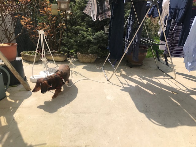 [Image: IMG-2887.jpg]