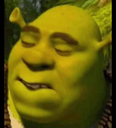 542409.jpg
