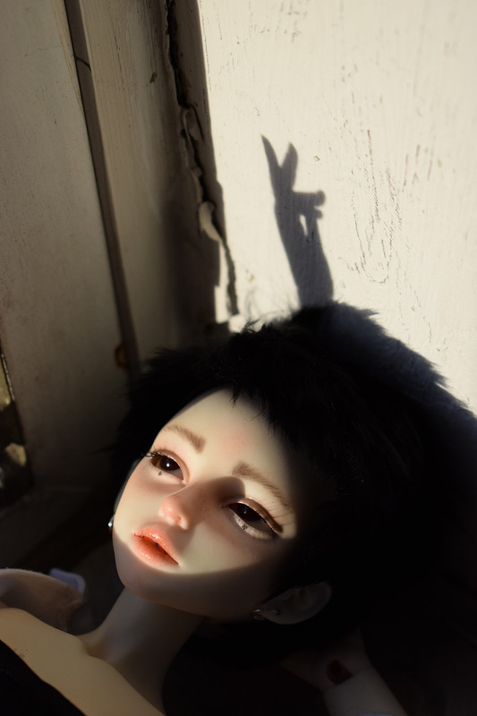 1109_small