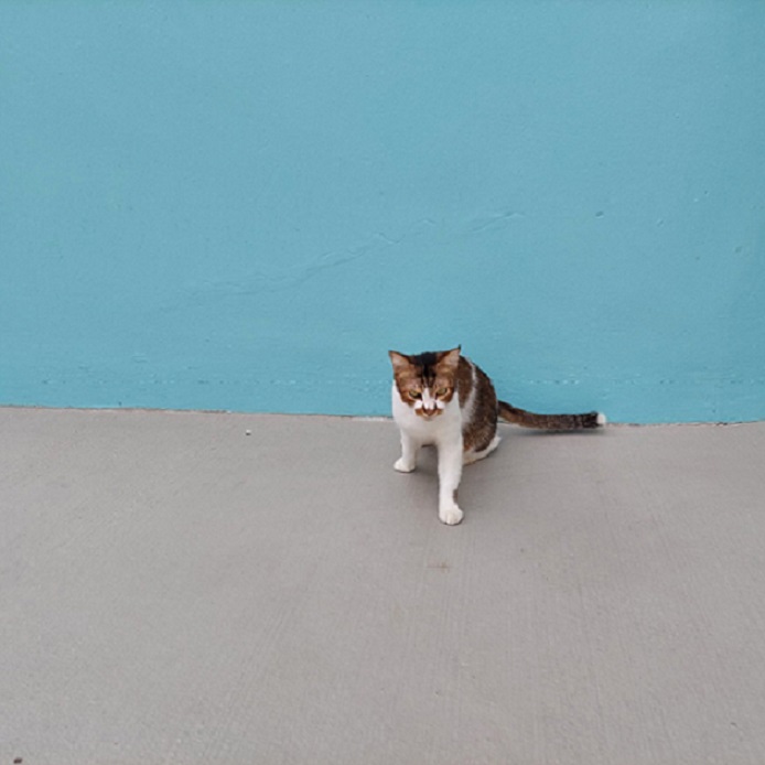 20221115-1.jpg