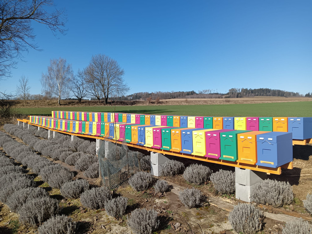 Obrázek WhatsApp, 2025-03-19 v 10.18.22_02f9c8a2