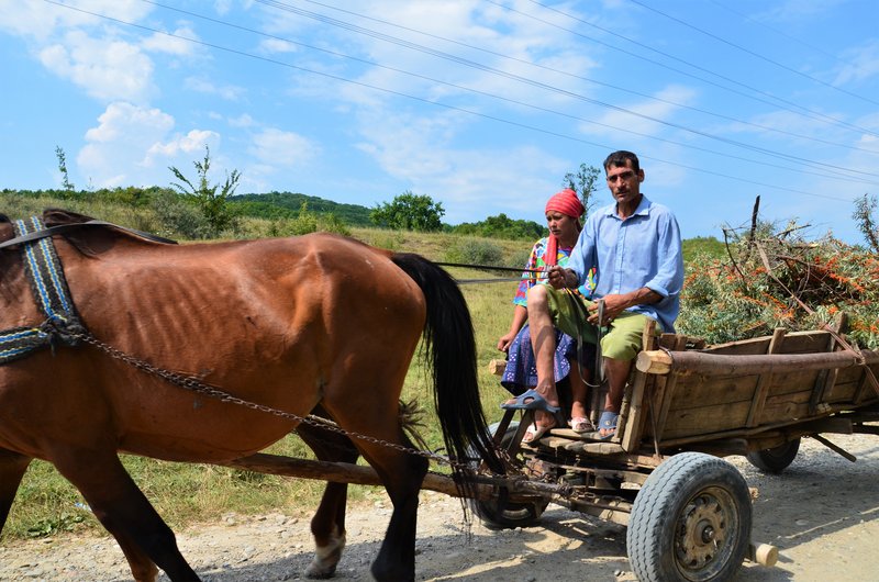 Rumanía y sus pueblos-2015 - Blogs de Rumania - Buzao-5-8-2015 (6)