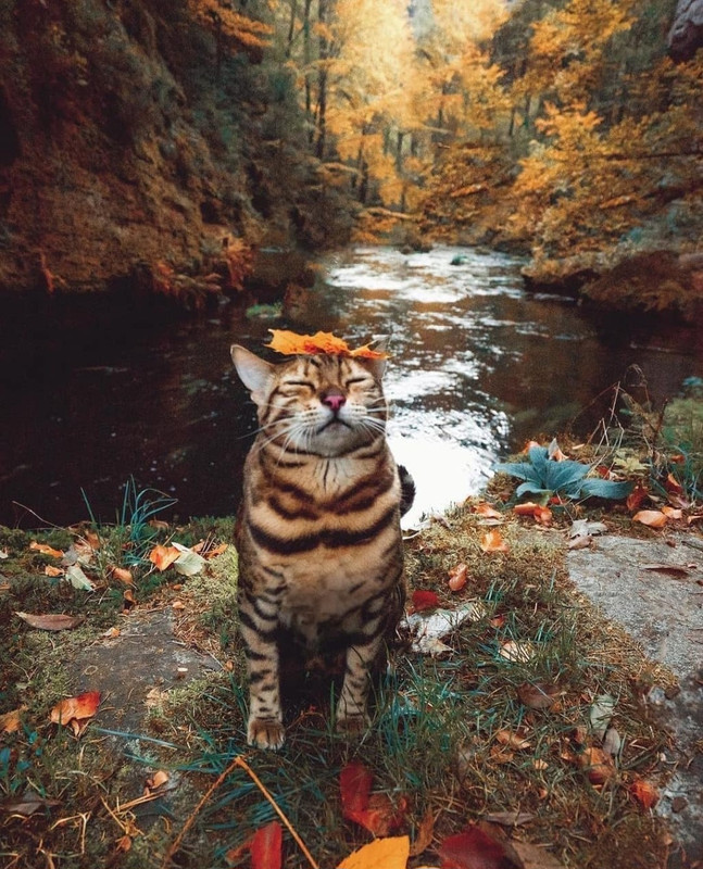 Screenshot_20231207_155827_Instagram