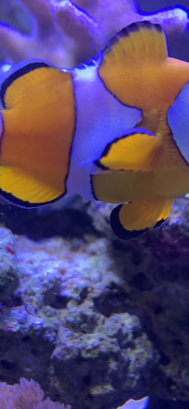 E3CD8C4F-DCD4-42DB-B7A4-5B1095948262