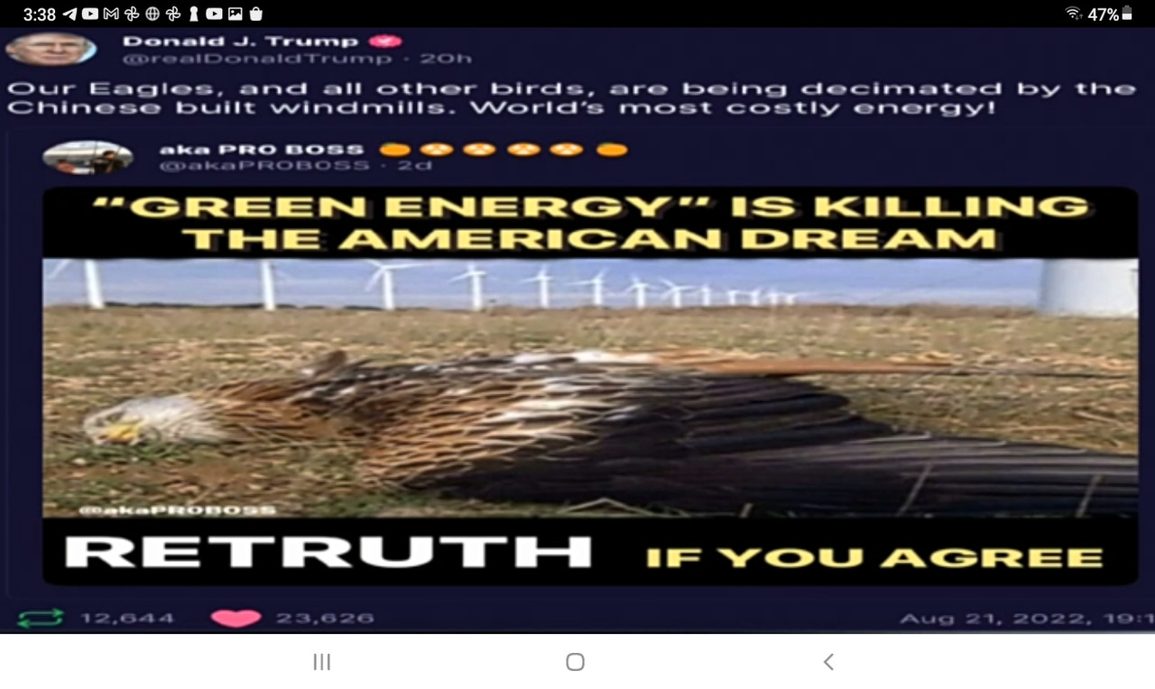 Screenshot_20220823-033813_Brave