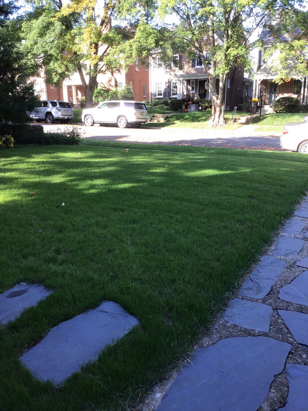 53763DD9-FB9D-49D5-8C6F-733D1D5DF5FE