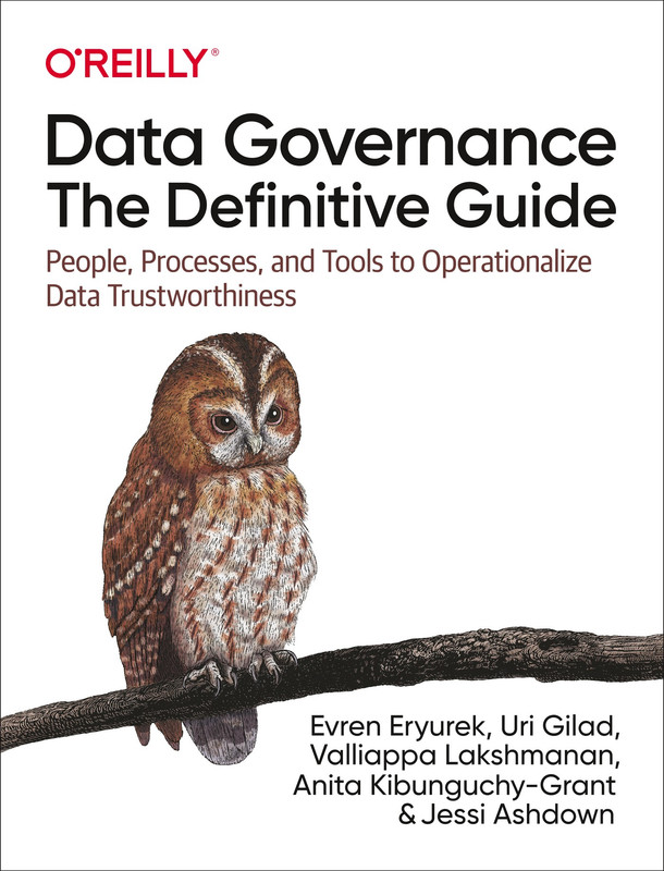 Data Governance The Definitive Guide People, Processes, and Tools to Operationalize Data Trustwor...