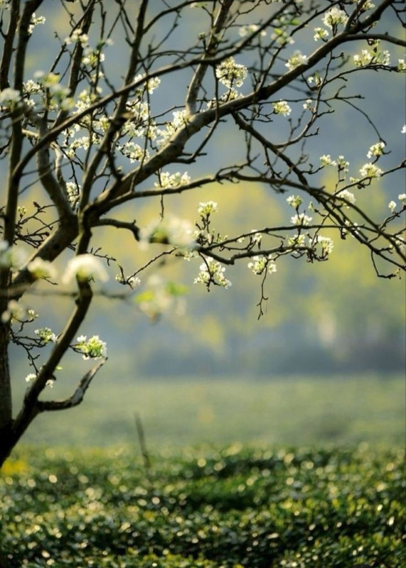 Screenshot_20240325_234933_Pinterest