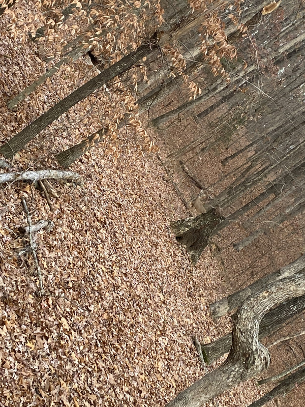 E26734C9-AA25-4EDA-B564-2199E1B52D19