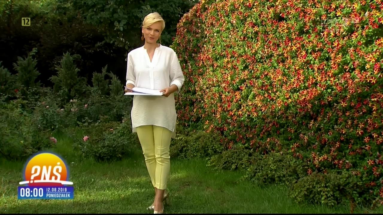 V0323_20190819_095531.mp4_snapshot_00.50_[2019.08.19_16.30.30]