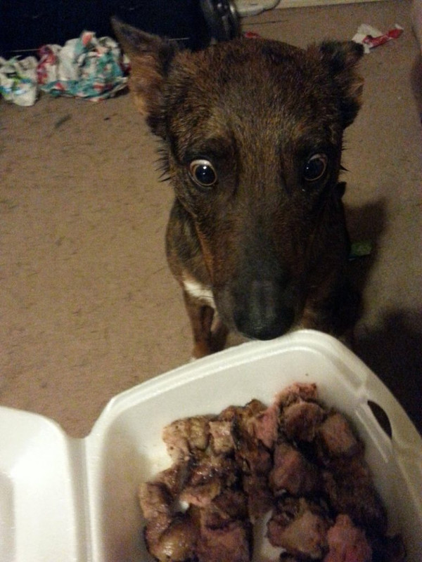 17 фото о том, как выглядит истинное счастье