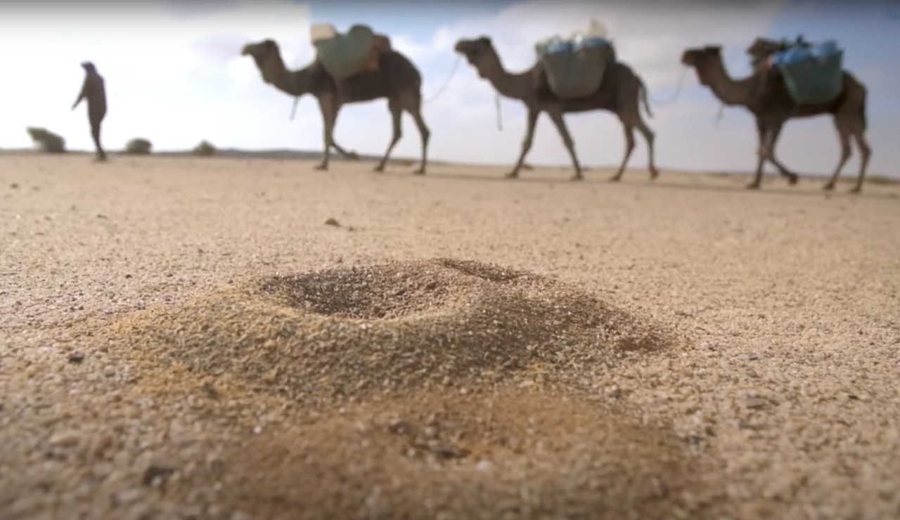 caravanas en el desierto