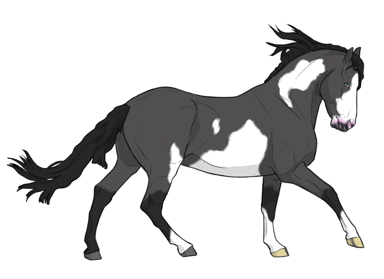 GRULLA-CANTERING.png