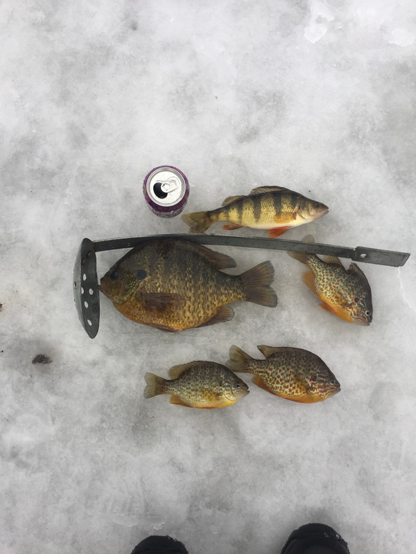 798DAC53-5EE4-4573-8FE3-65A9399F8848