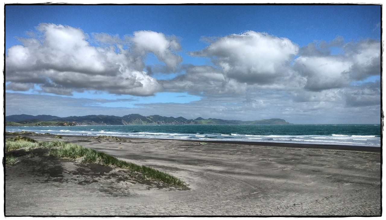 Escapadas y rutas por la Nueva Zelanda menos conocida - Blogs de Nueva Zelanda - Escapada a Hamilton (marzo 2017): Waitomo y alguna sorpresa más (17)