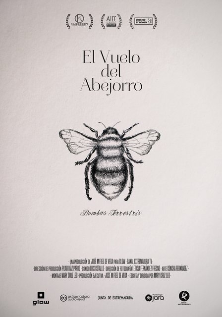 DOCUMENTAL “EL VUELO DEL ABEJORRO”: ¿CÓMO SE HIZO LA PELÍCULA DE ANIMACIÓN “BUÑUEL EN EL LABERINTO DE LAS TORTUGAS EN UN PEQUEÑO PUEBLO DE EXTREMADURA?