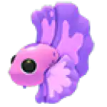 Pink Betta Fish