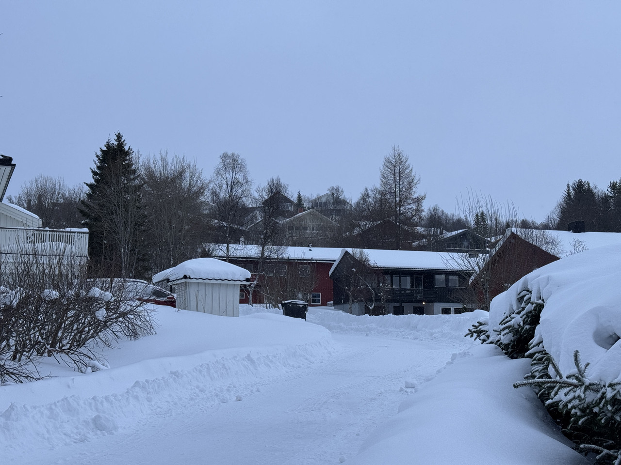 [Immagine: IMG-8265.jpg]