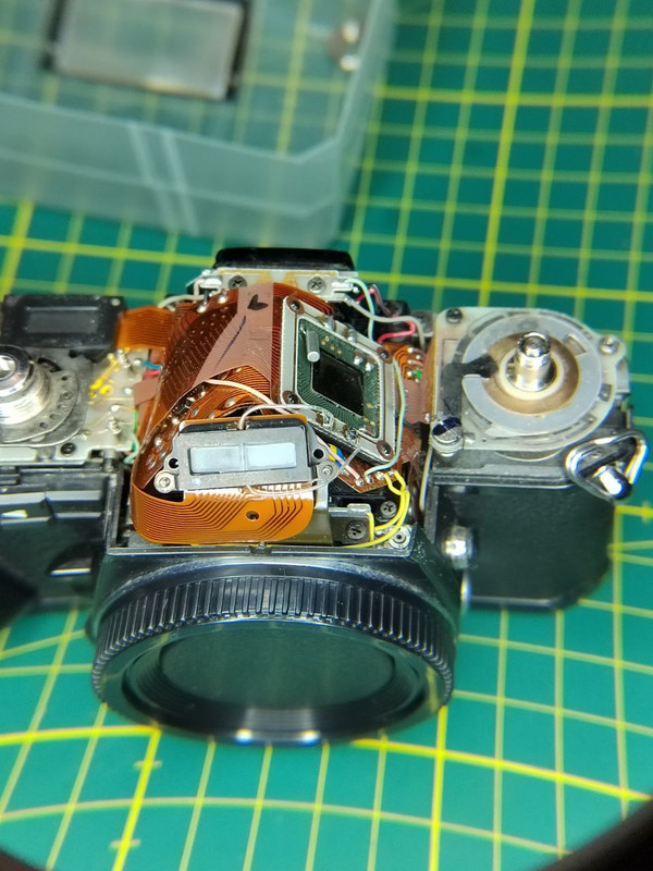 photo_2025-02-15_14-55-53