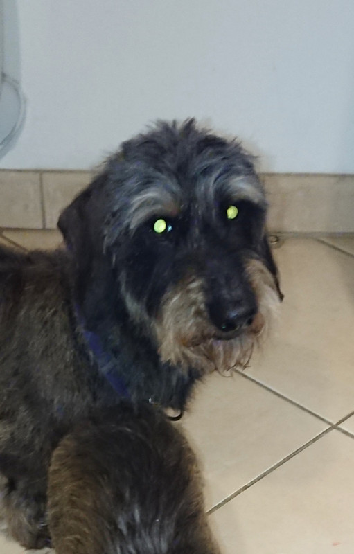 [Image: 20240127-201913.jpg]