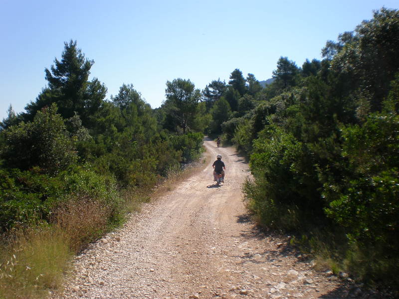 Picturevela luka 291