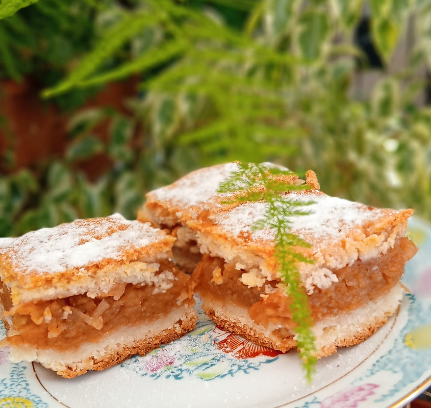 451126075_10229158583406590_7650252916250947912_n