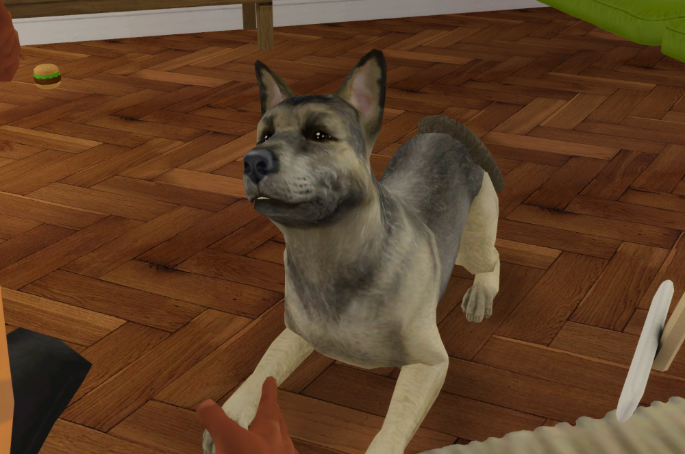 Sims2-EP9-RPC-2021-11-27-21-26-40-38