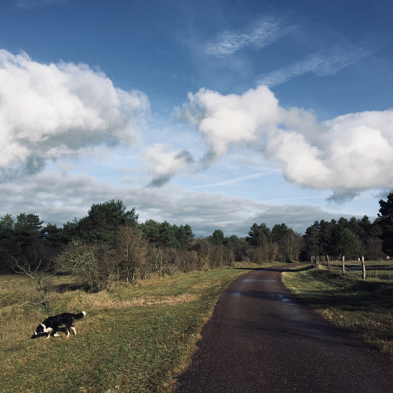 71EB2148-876A-4337-8195-A244A6D6E378