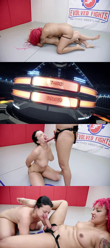 [Image: 15112024205235cover.jpg]