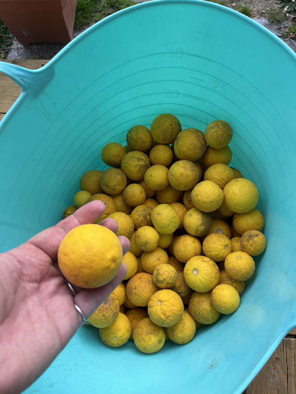 47940C6D-E748-475B-A060-059689259741